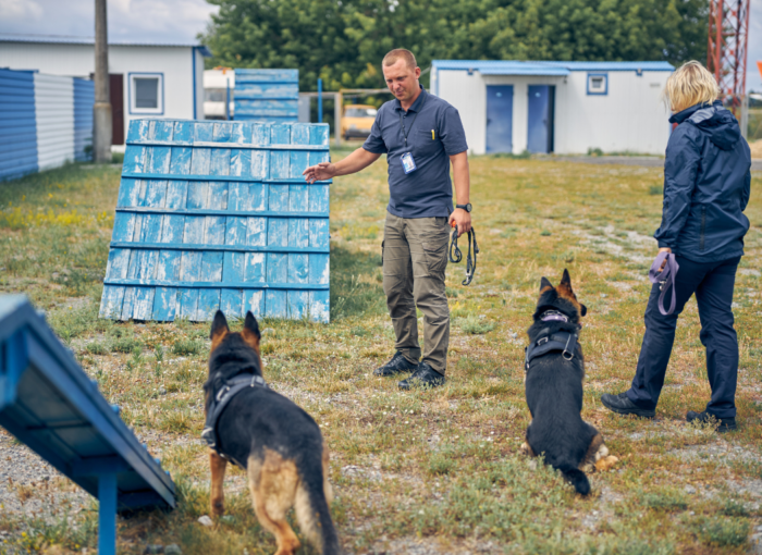 Seguridad canina